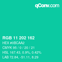 Color code: RGB 11 202 162 | qconv.com