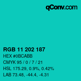 Color code: RGB 11 202 187 | qconv.com