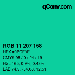 Color code: RGB 11 207 158 | qconv.com