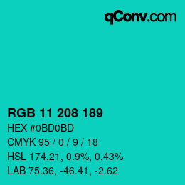 Color code: RGB 11 208 189 | qconv.com