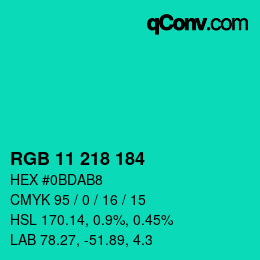 Color code: RGB 11 218 184 | qconv.com