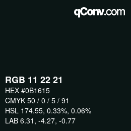 Color code: RGB 11 22 21 | qconv.com