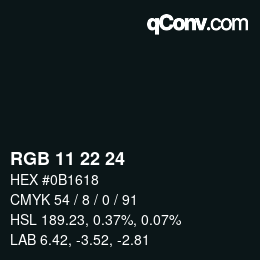 颜色代码: RGB 11 22 24 | qconv.com