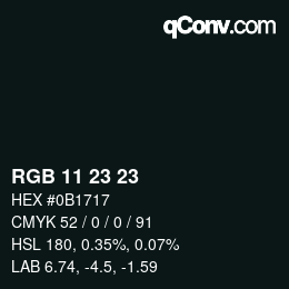 カラーコード: RGB 11 23 23 | qconv.com