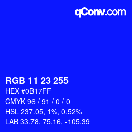Color code: RGB 11 23 255 | qconv.com