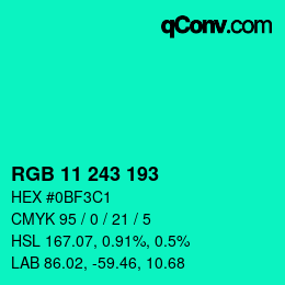 Color code: RGB 11 243 193 | qconv.com