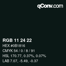 Color code: RGB 11 24 22 | qconv.com