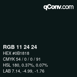 カラーコード: RGB 11 24 24 | qconv.com
