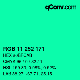 Color code: RGB 11 252 171 | qconv.com