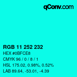 Color code: RGB 11 252 232 | qconv.com