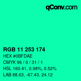 Color code: RGB 11 253 174 | qconv.com