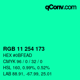 Color code: RGB 11 254 173 | qconv.com