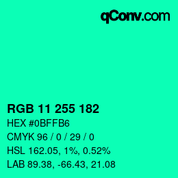 Color code: RGB 11 255 182 | qconv.com