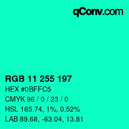 Color code: RGB 11 255 197 | qconv.com