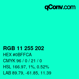 Color code: RGB 11 255 202 | qconv.com