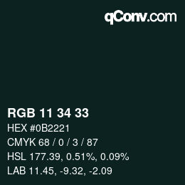 Color code: RGB 11 34 33 | qconv.com