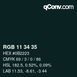 Color code: RGB 11 34 35 | qconv.com
