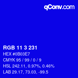 Color code: RGB 11 3 231 | qconv.com