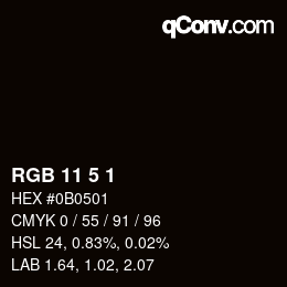 Color code: RGB 11 5 1 | qconv.com