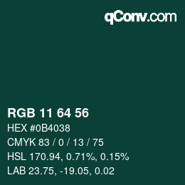 Color code: RGB 11 64 56 | qconv.com