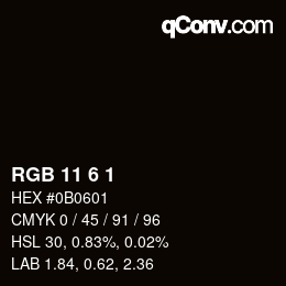 Color code: RGB 11 6 1 | qconv.com