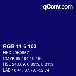 Color code: RGB 11 6 103 | qconv.com