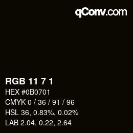 Color code: RGB 11 7 1 | qconv.com