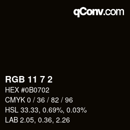 Color code: RGB 11 7 2 | qconv.com