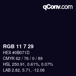 カラーコード: RGB 11 7 29 | qconv.com