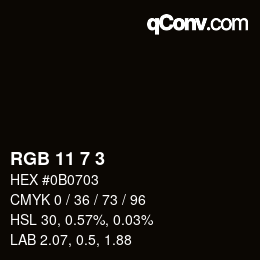 Color code: RGB 11 7 3 | qconv.com