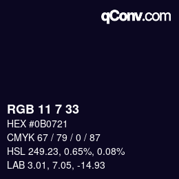 カラーコード: RGB 11 7 33 | qconv.com