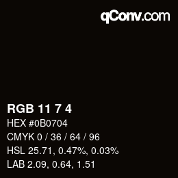 颜色代码: RGB 11 7 4 | qconv.com