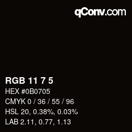 Color code: RGB 11 7 5 | qconv.com