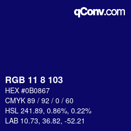 Color code: RGB 11 8 103 | qconv.com