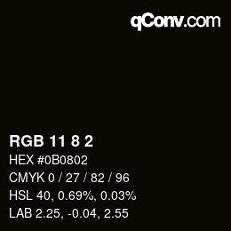 カラーコード: RGB 11 8 2 | qconv.com