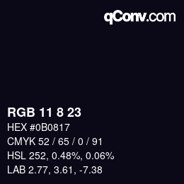 Farbcode: RGB 11 8 23 | qconv.com