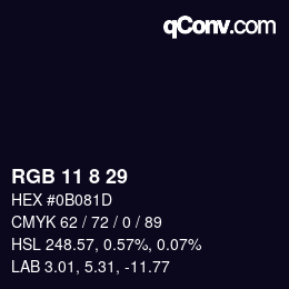 Color code: RGB 11 8 29 | qconv.com