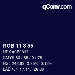 Color code: RGB 11 8 55 | qconv.com