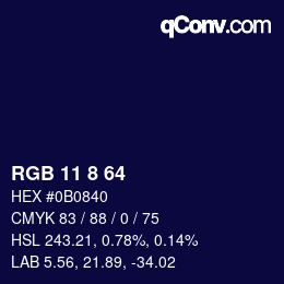 Color code: RGB 11 8 64 | qconv.com