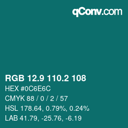 Color code: RGB 12.9 110.2 108 | qconv.com
