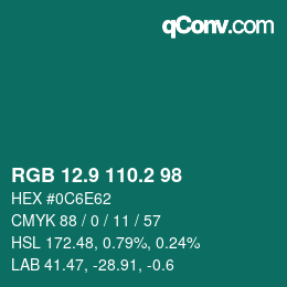 Color code: RGB 12.9 110.2 98 | qconv.com