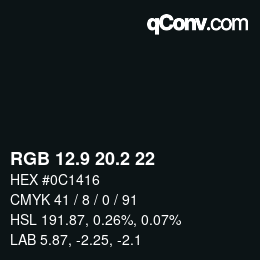 Color code: RGB 12.9 20.2 22 | qconv.com