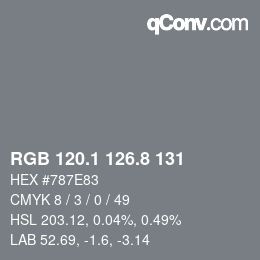 カラーコード: RGB 120.1 126.8 131 | qconv.com
