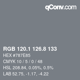 カラーコード: RGB 120.1 126.8 133 | qconv.com