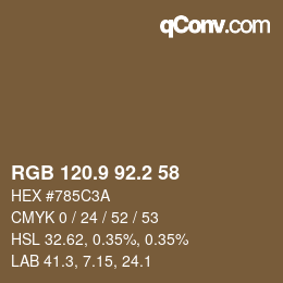 Color code: RGB 120.9 92.2 58 | qconv.com