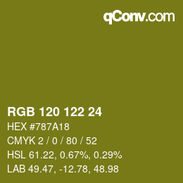 Color code: RGB 120 122 24 | qconv.com
