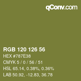 Farbcode: RGB 120 126 56 | qconv.com