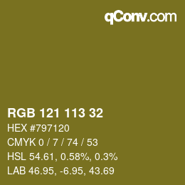 Color code: RGB 121 113 32 | qconv.com