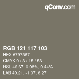 Color code: RGB 121 117 103 | qconv.com