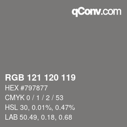 颜色代码: RGB 121 120 119 | qconv.com